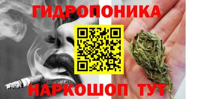 прущие грибы Краснодар