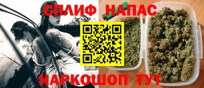 прущие грибы Краснодар
