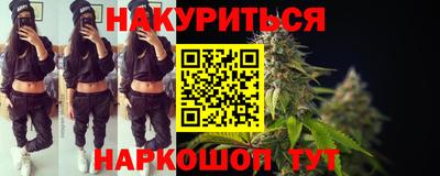 прущие грибы Краснодар